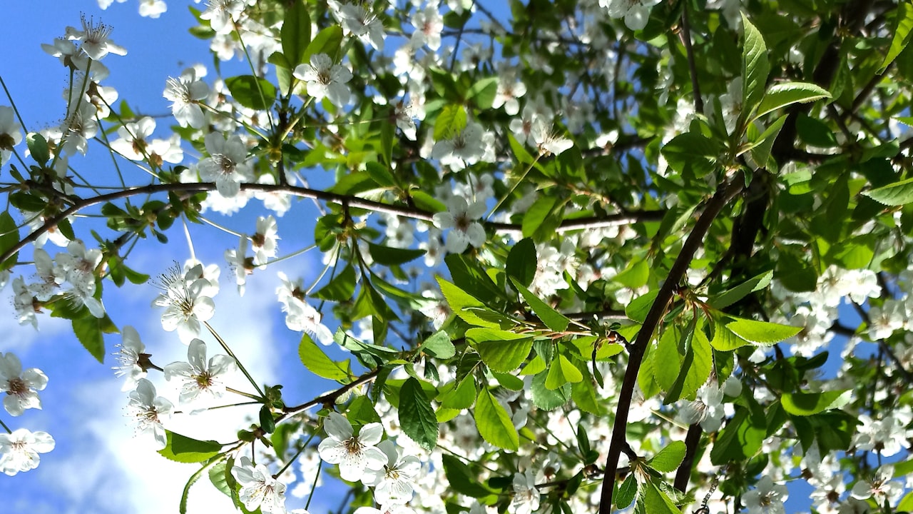 The Need Of Spring Clips For EveryDay Uses