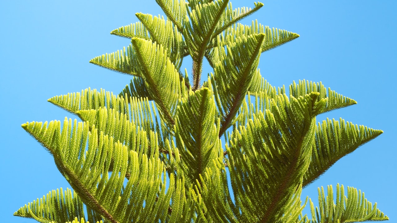 Why Choose TEGE Materials For Drainage Solutions?